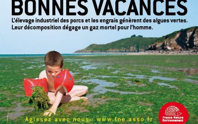 Cachez donc ces algues que l&rsquo;on ne saurait voir !