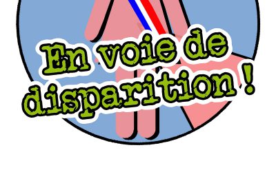 Le féminin de candidat = suppléante ?