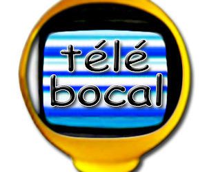 Télé Bocal : les Jeunes Écologistes étaient à Paris au rassemblement contre Tafta