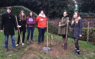 Ouest-France : Les Jeunes Écologistes de Rennes plantent un arbre contre les violences policières