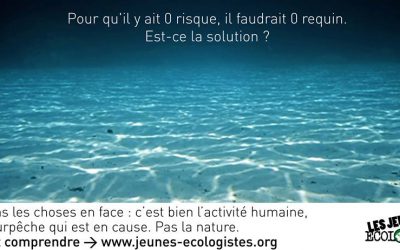 Crise requin : les Jeunes Écologistes de l’Île de la Réunion réagissent par l’information