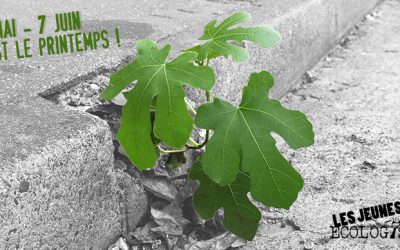 Le printemps du climat : les Jeunes Écologistes s&rsquo;engagent partout en France !