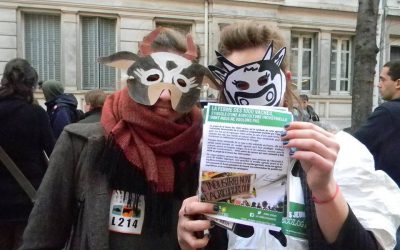 Crise de l&rsquo;élevage : changeons vraiment de modèle agricole