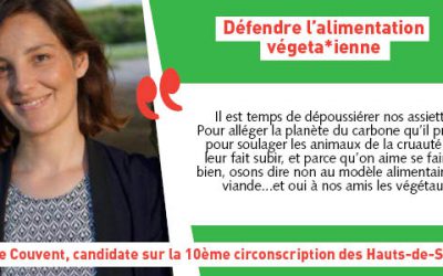 Élections législatives : Les Jeunes Écolos se mobilisent !